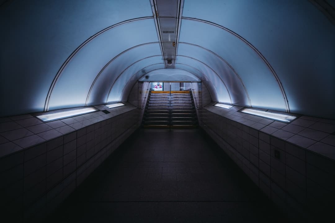 同方股份发布2025年中报,经营质效稳步提升